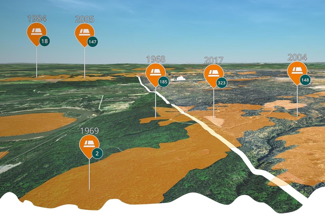 Data visualization for forestry projects